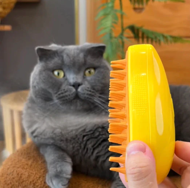 Fur-Free Cat Grooming