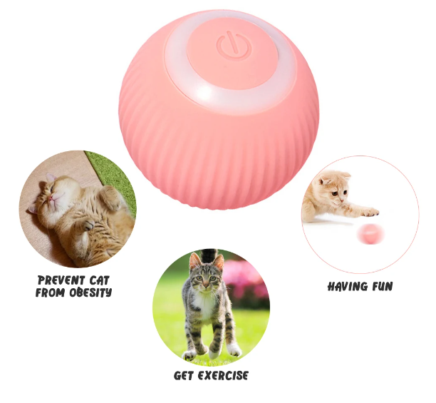 The Ultimate Rolling Ball for Your Cat: A Scientific Review