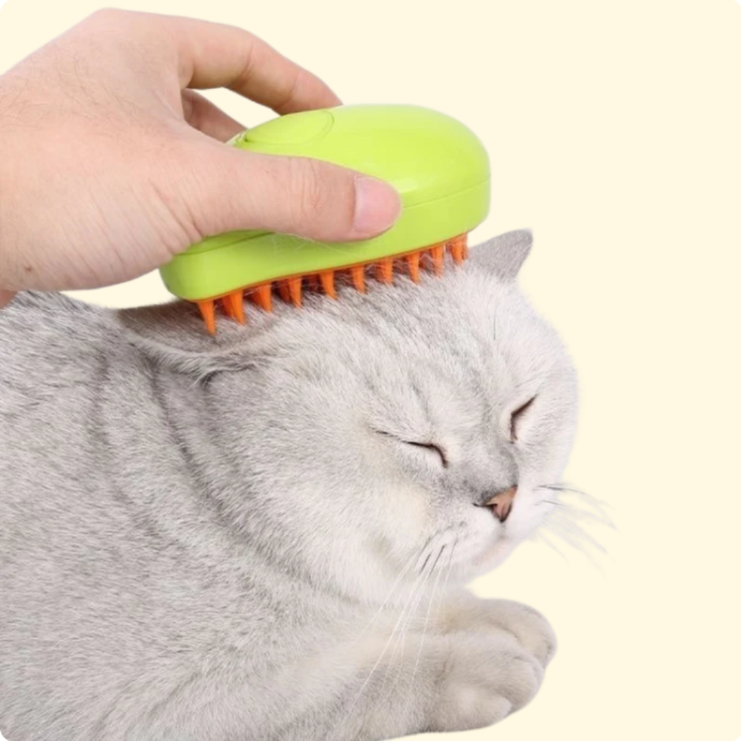 The Cat Steamy Brush: Revolutionizing Grooming for Your Furry Friend