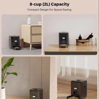 Smart Automatic Cat Feeder | Wi-Fi & Manual Control