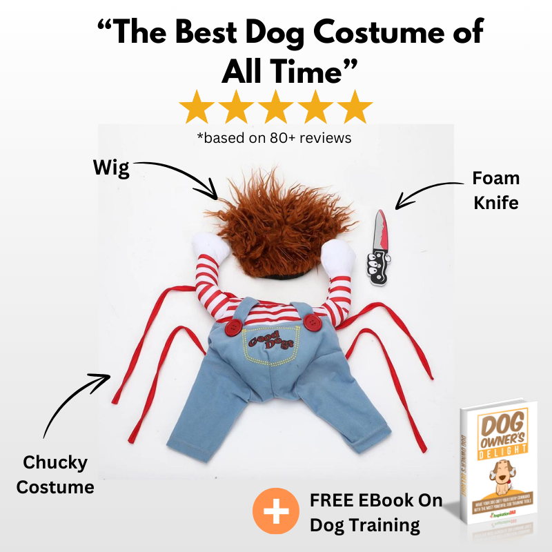 "the best dog costume of all time"  5 stars based on 80+ reviews. Chucky dog costume, wig, foam knife + FREE Ebook on Dog training dog owner's delight