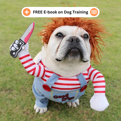 Chucky Dog Halloween Costume