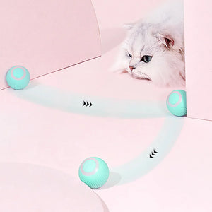 Healthy Cat Bundle - Steam Brush + Automatic Rolling Cat Ball