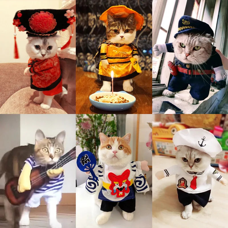 Cute Cat Halloween Costumes