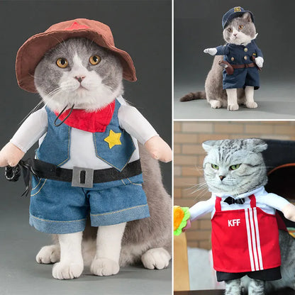 Cute Cat Halloween Costumes