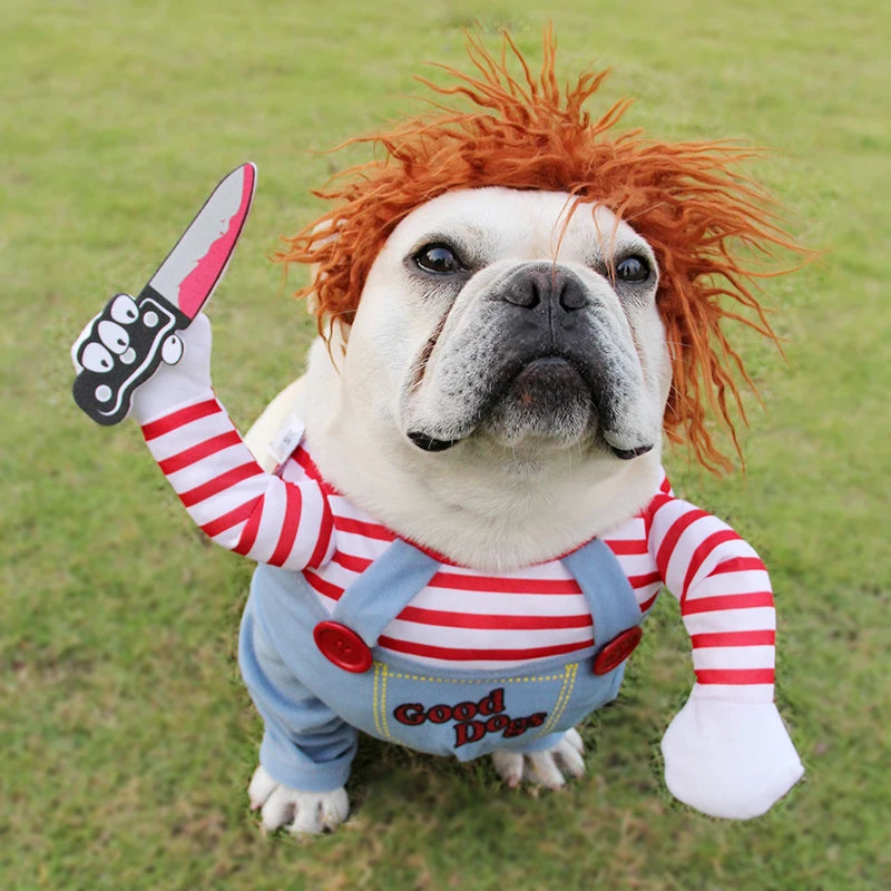 dog wearing chucky halloween costume with a grass background 