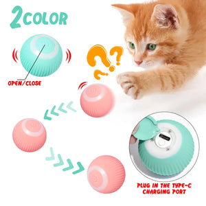 Healthy Cat Bundle - Steam Brush + Automatic Rolling Cat Ball