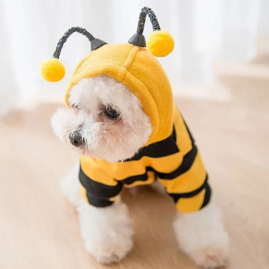 Bee Costume Clothing for small Dogs and Cats.