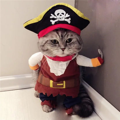 Cute Cat Halloween Costumes