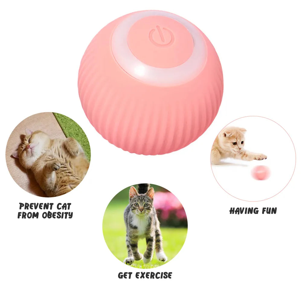 Healthy Cat Bundle - Steam Brush + Automatic Rolling Cat Ball