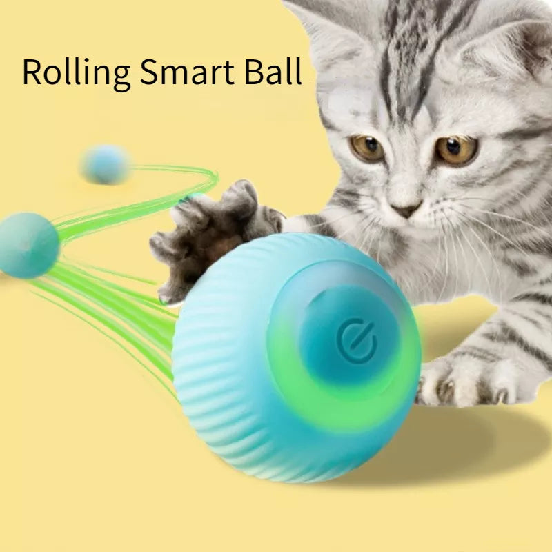 Healthy Cat Bundle - Steam Brush + Automatic Rolling Cat Ball