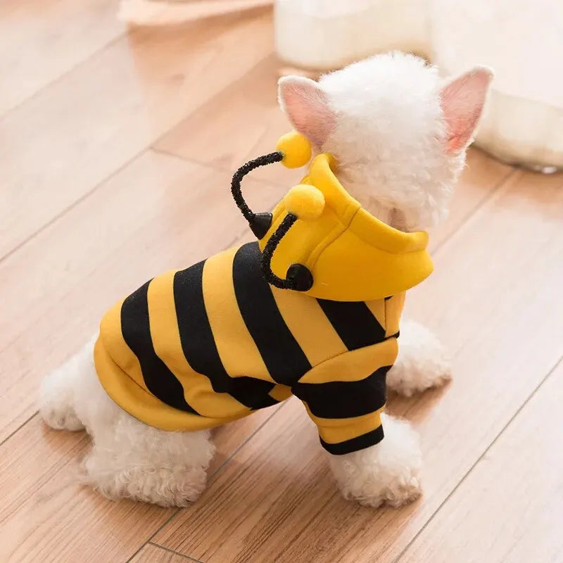 Bee Costume Clothing for small Dogs and Cats.