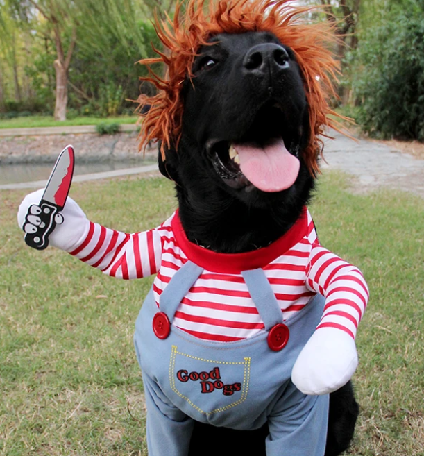 Chucky Dog Halloween Costume