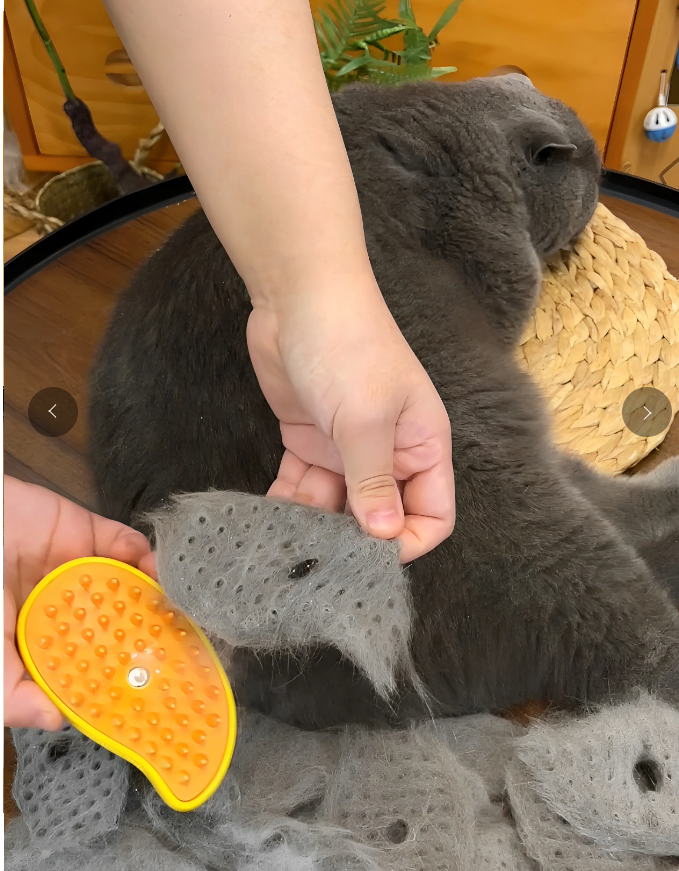 A person removing a lot of cat hair from the Steamy brush and a gray cat in the background laying down