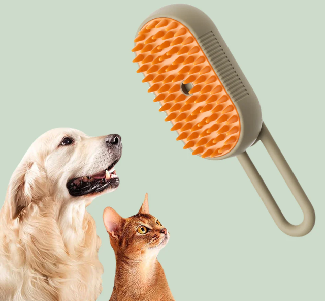 Premium Dog Care Package - Portable Feeder Bottle + Dog Steam Brush + Toothbrush