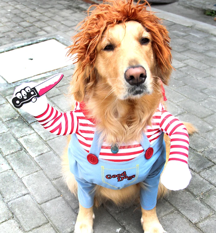 Chucky Dog Halloween Costume