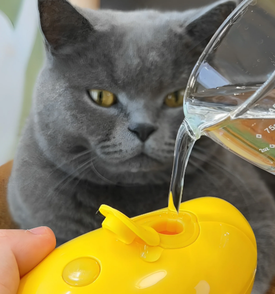 Image showcasing the easy use of the Steamy Brush. Water is being poured into a little hole in the Steamy Brush and a gray cat is watching 