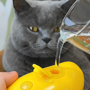 Image showcasing the easy use of the Steamy Brush. Water is being poured into a little hole in the Steamy Brush and a gray cat is watching 